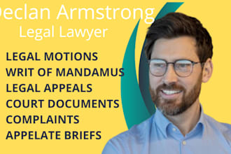 prepare court ready documents for civil, family, and personal injury cases