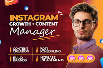 be your instagram organic growth manager and content creator
