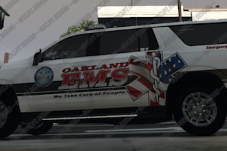 create fivem liveries for you