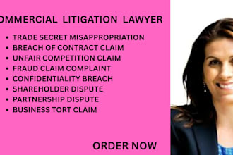 assist with court complaints for fraud, trade secrets, and commercial disputes