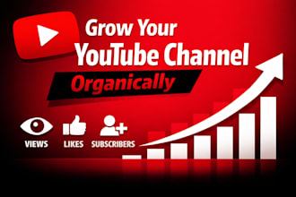 grow youtube channel organically, you tube video promotion