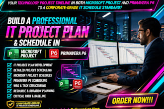 build a professional IT project plan schedule in microsoft project primavera p6