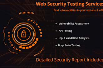test your website for security vulnerabilities