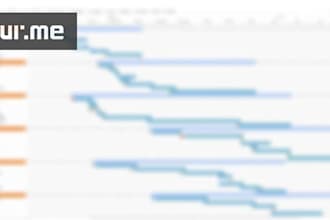 create a professional project plan, charter, wbs and risk register