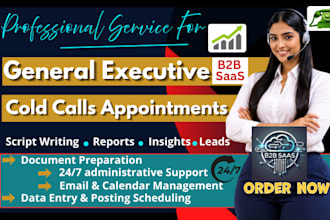 be your executive virtual assistance customer service representative web search