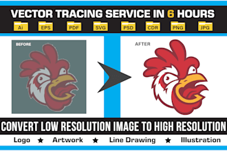 do vector tracing, convert image to vector and recreate