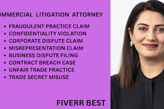 handle trade secret matters, fraud disputes, and business conflict issues