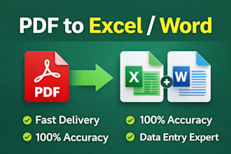 convert PDF to excel or word data entry fast