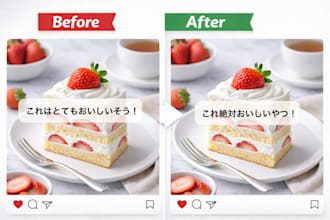 proofread and localize your japanese professionally