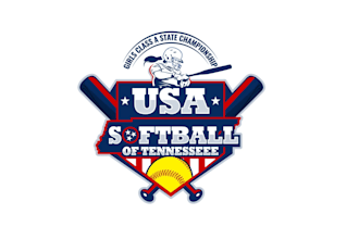 create attractive and imagination softball  logo design