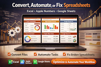convert, automate, or fix custom excel spreadsheet, apple numbers, google sheets