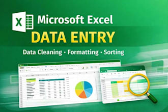 excel data cleaning  , data entry professionally