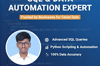 do expert sql data entry, database cleaning