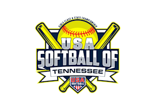 create attractive and imagination softball  logo design