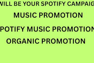 be your spotify campaign