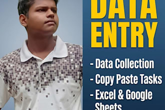 do professional data entry and copy paste tasks