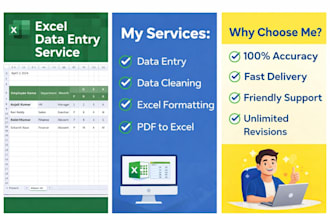 do excel data entry cleaning and formatting
