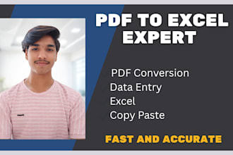 convert PDF to excel accurately