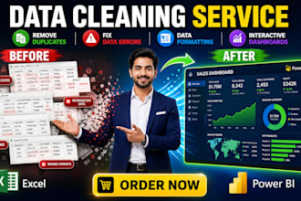 do data cleaning, data formatting  in excel