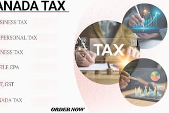e file your canadian corporate tax return t2 offering CPA level business tax