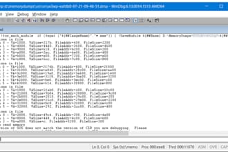 reverse engineer exe, dll and decompile forex ea source code, ea license