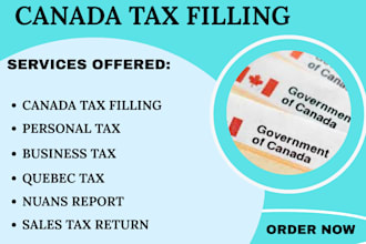 do canada tax filling, cra, ti, t2, corporate personal tax return