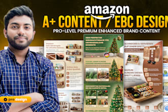 design premium a plus content, amazon ebc, amazon infographic, that converts