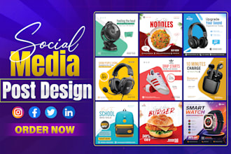 design product promotion ,instagram post, facebook ads and linkedin post