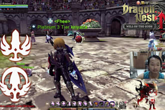 install and optimize dragon nest, dekaron server or conquer online server