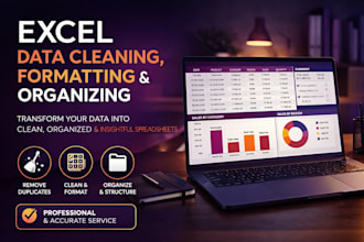 do professional excel data cleanup