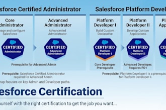 pass your salesforce certification, training and job support