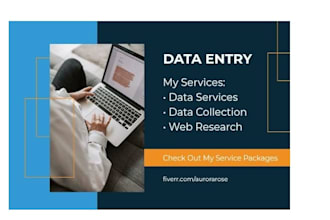 do fast and accurate data entry, typing, copy paste work