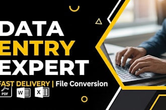 do professional data entry and file conversion