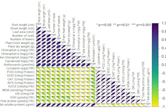 do statistical data analysis, anova, pca, r programming