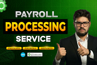 provide professional remote payroll processing and payslip service