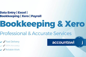 provide excel, xero bookkeeping, data entry and payroll support