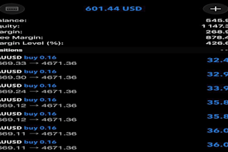 build a profitable forex ea bot, trading bot, forex trading bot, forex ea robot