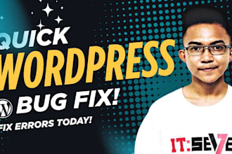 repair wordpress errors, bugs, and plugin or theme issues