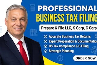 prepare and file llc, s corp and c corp business tax returns professionally