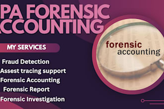do forensic accounting, financial audit, fraud investigation, financial report