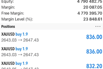 offer forex trading bot, forex bot, forex trading bot, forex trading bot