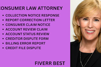work on credit report concerns, debt disputes, and consumer law violation issues