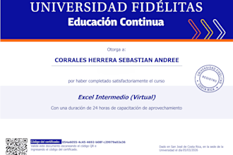 excel intermedio en español o ingles