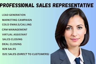be your sales representative your niche