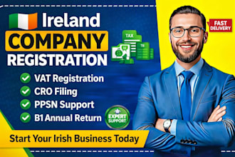 handle irish tax registration ppsn ipn vat cro b1 filing, annual return ireland