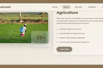 build a professional multi page responsive website
