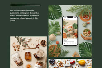 design professional social media posts and promotional graphics