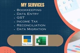 do basic accounting, bookkeeping and financial data entry