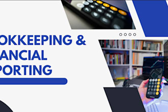provide professional bookkeeping and financial reporting