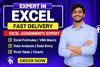 do your excel assignments and excel assessment through microsoft office